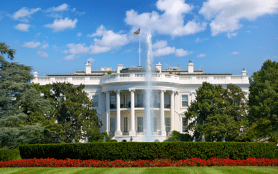 Are You Leaving the Office During the Transition?