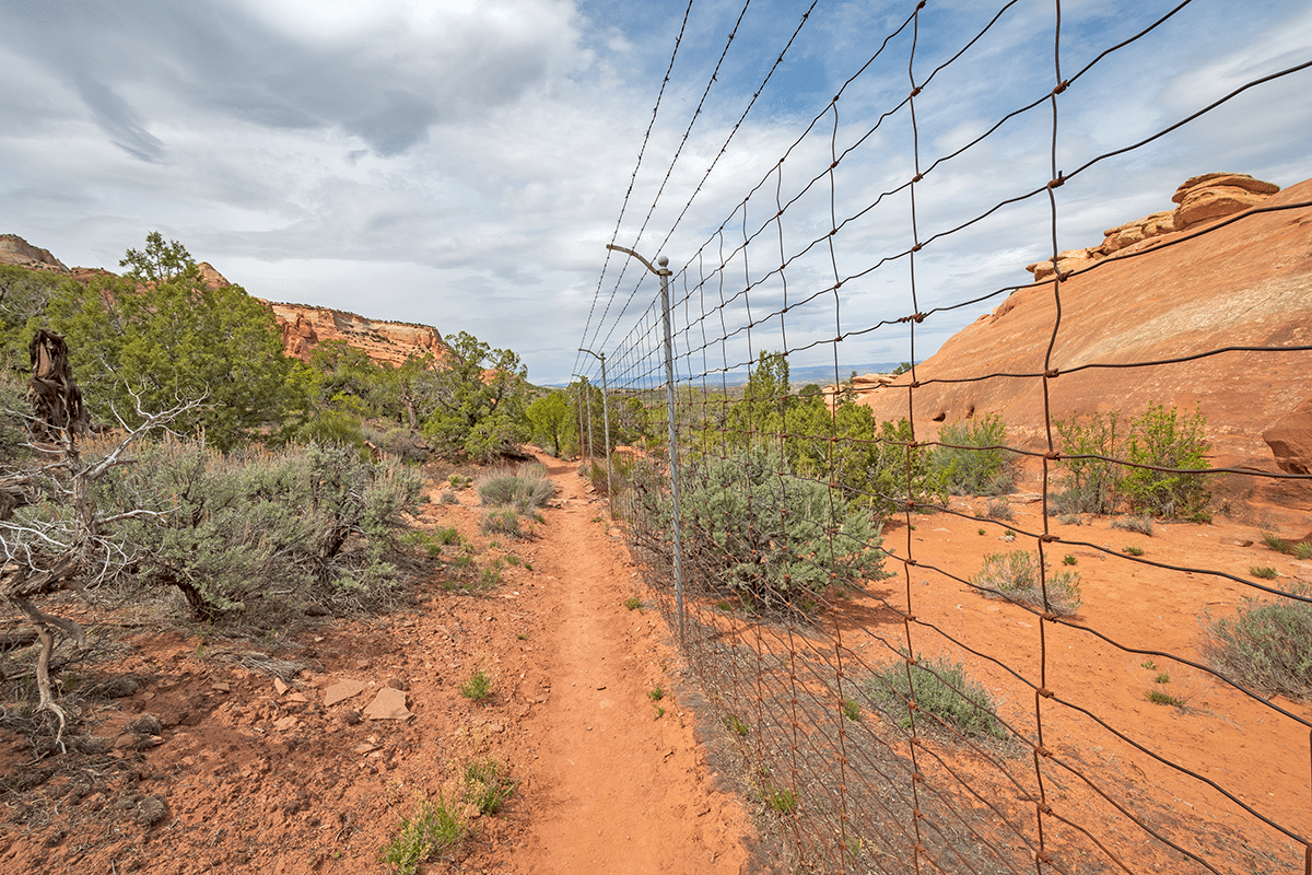 Fence protected by the customs and border protection applying for federal disability retirement